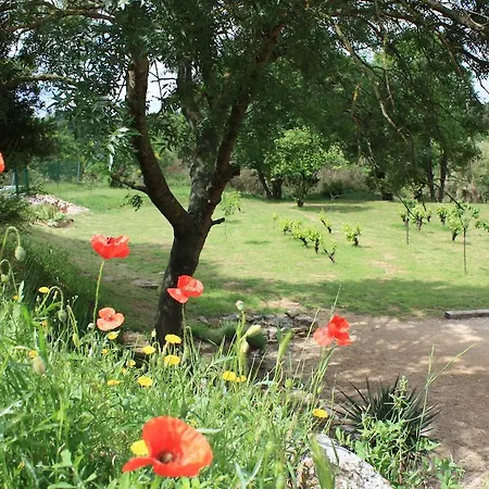 Domaine De 